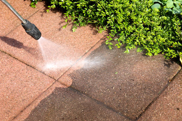 Best Exterior Home Cleaning  in Prairie Creek, AR